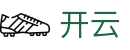 开云世界杯淘汰赛阶段高额奖金投注
